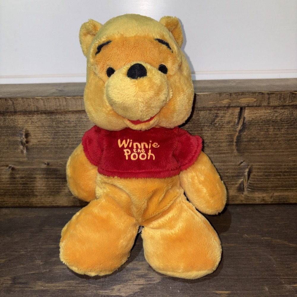 DISNEY WINNIE THE POOH PLUSH LOVEY BEANBAG BOTTOM FEET
